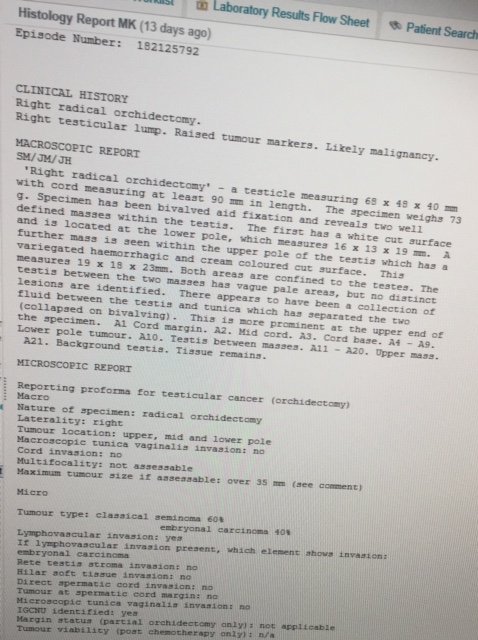 opis histo2.jpg
