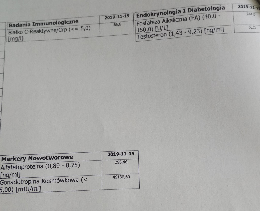 badmorfologi3.jpg